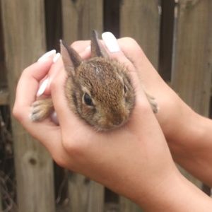 Meet your Posher, Billy